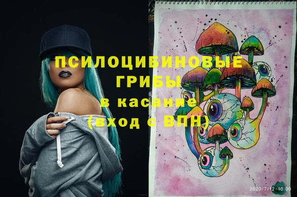 PSILOCYBIN Покров