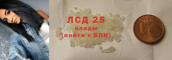 гашик Зерноград