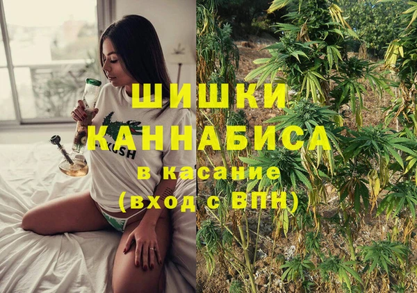 прущие грибы Иннополис