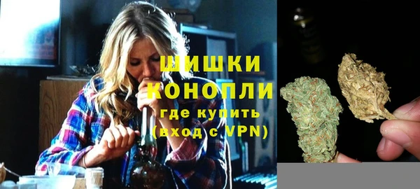 гашик Зерноград