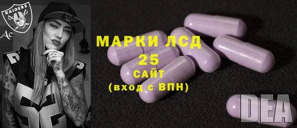 ПСИЛОЦИБИНОВЫЕ ГРИБЫ Краснотурьинск