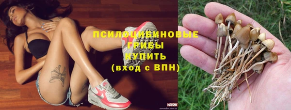 СК Зеленодольск