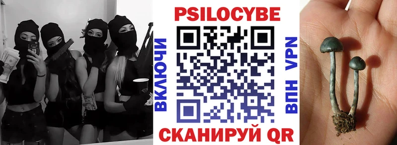Галлюциногенные грибы мицелий  где купить наркотик  Инза 